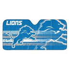 DETROIT LIONS