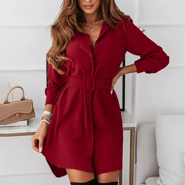 Knee-Length Casual A-Line Slim Fit Shirt Dress with Long Sleeves