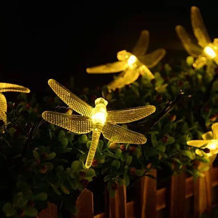 369799111